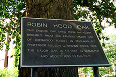 Robin Hood Oak society placque
