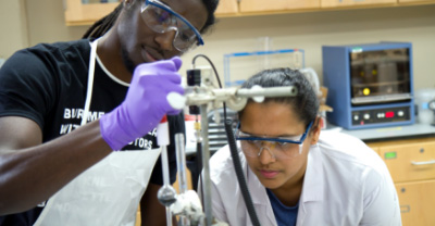 Students working in a laboratory.