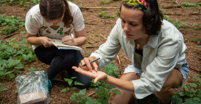 Two students working on a forest floor.