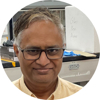 Bandaru Ramarao, Ph.D.
