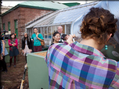 Images from Composting Project revealing.