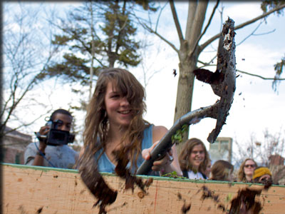 Images from Composting Project revealing.