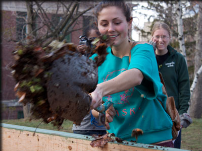 Images from Composting Project revealing.