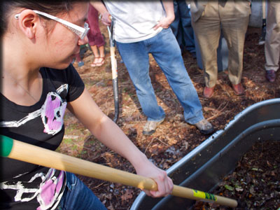 Images from Composting Project revealing.