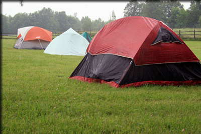 Images from the Bioblitz