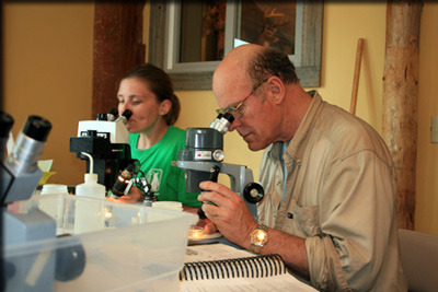Images from the Bioblitz