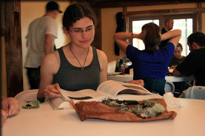 Images from the Bioblitz
