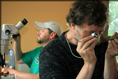 Images from the Bioblitz