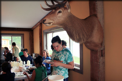 Images from the Bioblitz