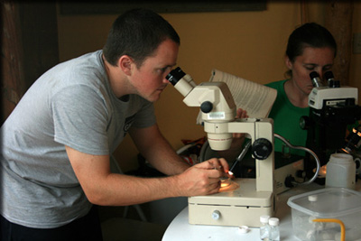 Images from the Bioblitz