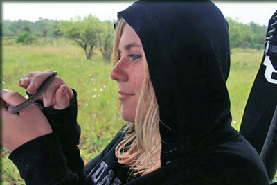 Images from the Bioblitz