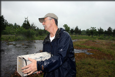 Images from the Bioblitz
