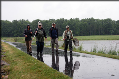 Images from the Bioblitz
