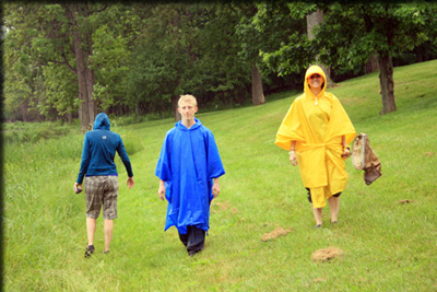 Images from the Bioblitz