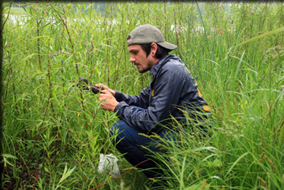 Images from the Bioblitz