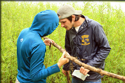 Images from the Bioblitz