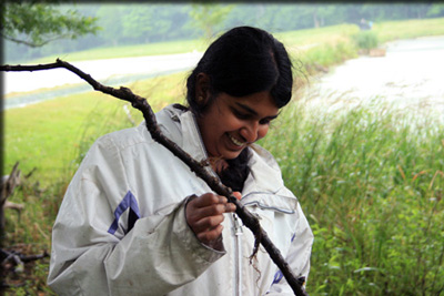 Images from the Bioblitz