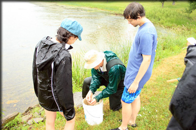 Images from the Bioblitz