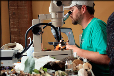 Images from the Bioblitz