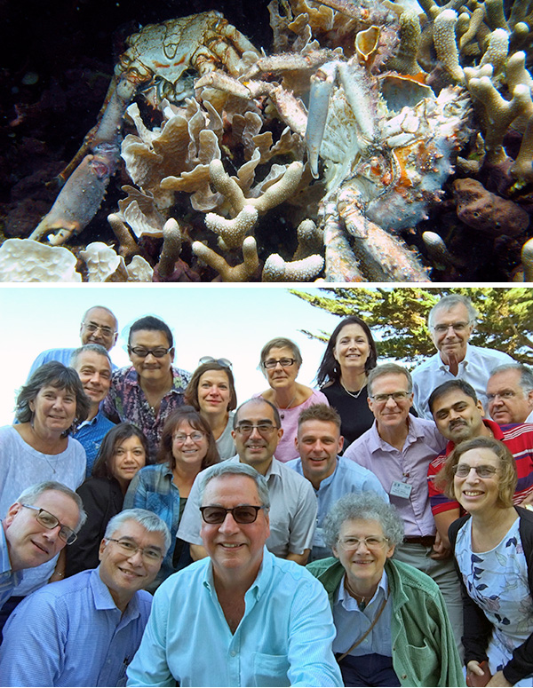 At top: Low oxygen caused the death of these corals in Panama. (Credit: Arcadio Castillo/Smithsonian) Above are members of the GO2NE working group work. Dr. Karin Limburg is front row, right of center.