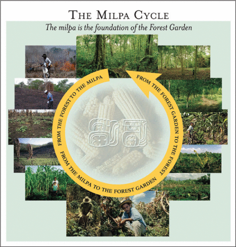 the malpa cycle