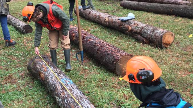 Students in hard hats measuring a log