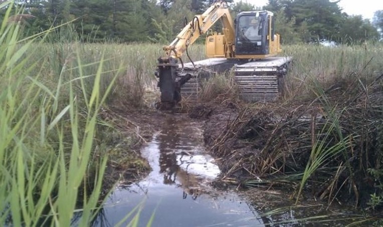 ESF collaborates to restore pike spawning habitat in a St. Lawrence River coastal wetland.
