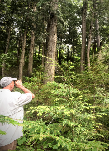 John Stella using a Clinometer to measure the cross-sectional valley slope along a forest transect adjacent to a beaver pond on Arbutus Lake, Adirondacks NY.