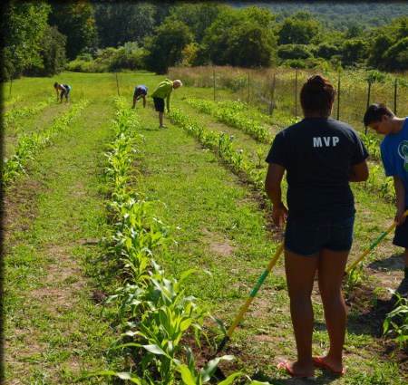 people gardening