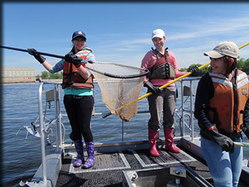 UNDER THE GUIDANCE OF DR. KARIN LIMBURG, STUDENTS FROM UKRAINE PARTICIPATED IN THE SPRING FISHERIES SURVEY CONDUCTED BY REGION 4 DEC IN MAY ON THE HUDSON RIVER. PICTURED FROM LEFT ARE ANNA "ANYA" GANZIA, NATALIIA "NATASHA" SHYNKARENKO, AND OLGA "OHLA" SHEVTSOVA