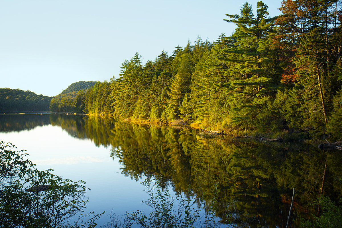 Image of a lake surrounded by trees.