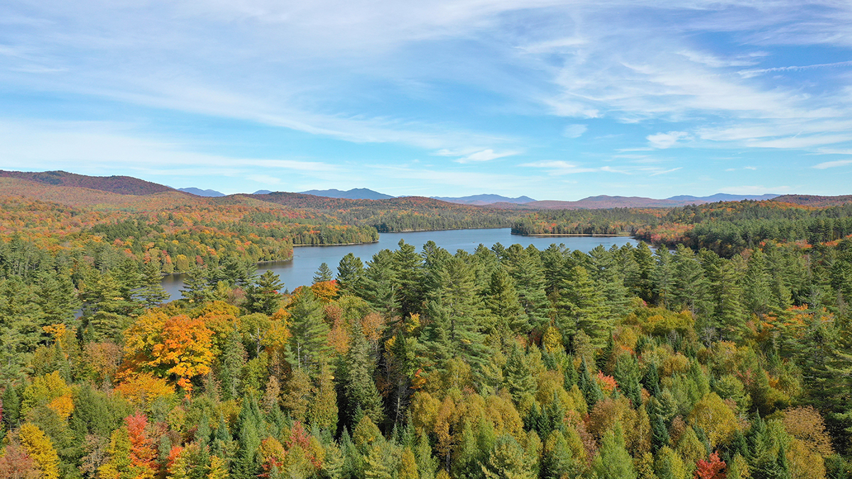 Aerial view of ESF's Huntington Wildlife Forest in the Adirondacks