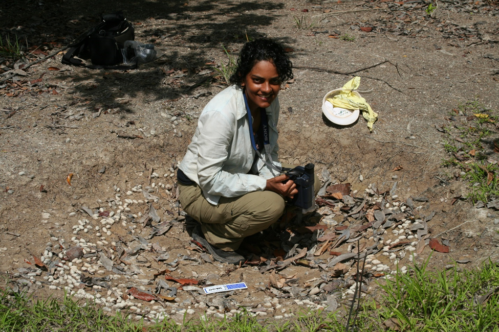Dr. L. Cynthia Watson inspects a huge arapaima nest that had been occupied in a previous flood season