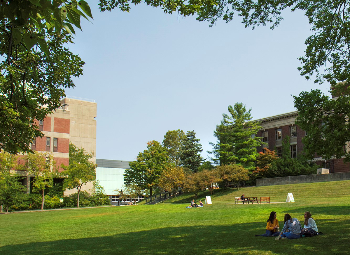 Students enjoying the fall weather on ESF's quad