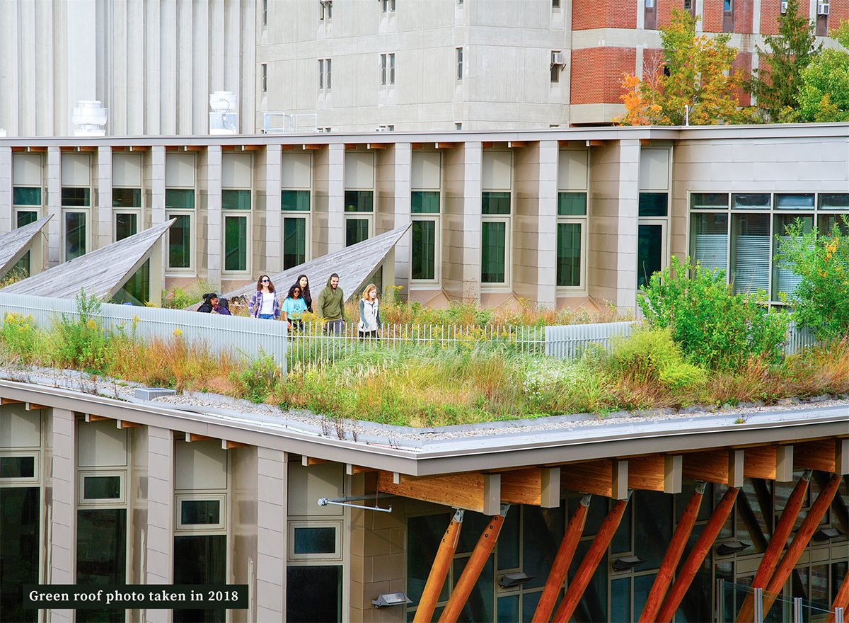 The green roof on the gateway center, ESF's Leed Platinum Student Hub