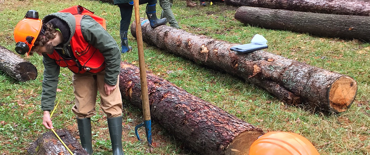 Students gain experience with timber and forest management at ESF's Ranger School