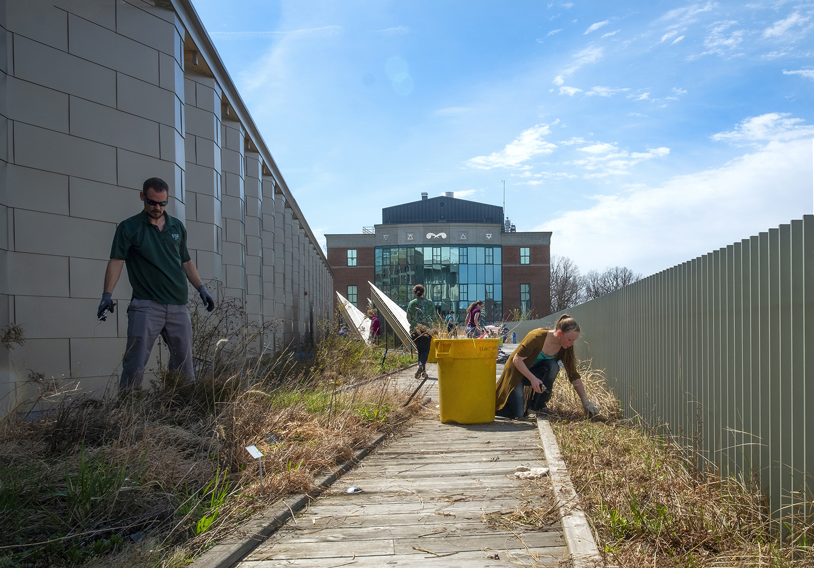 ESF students clean up the green roof on the gateway center