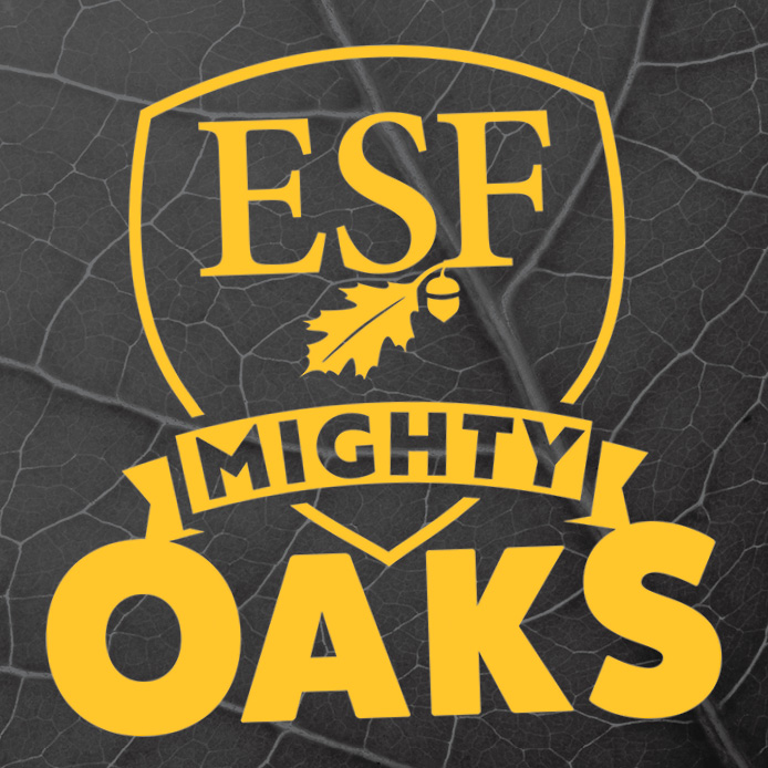 mighty oaks logo