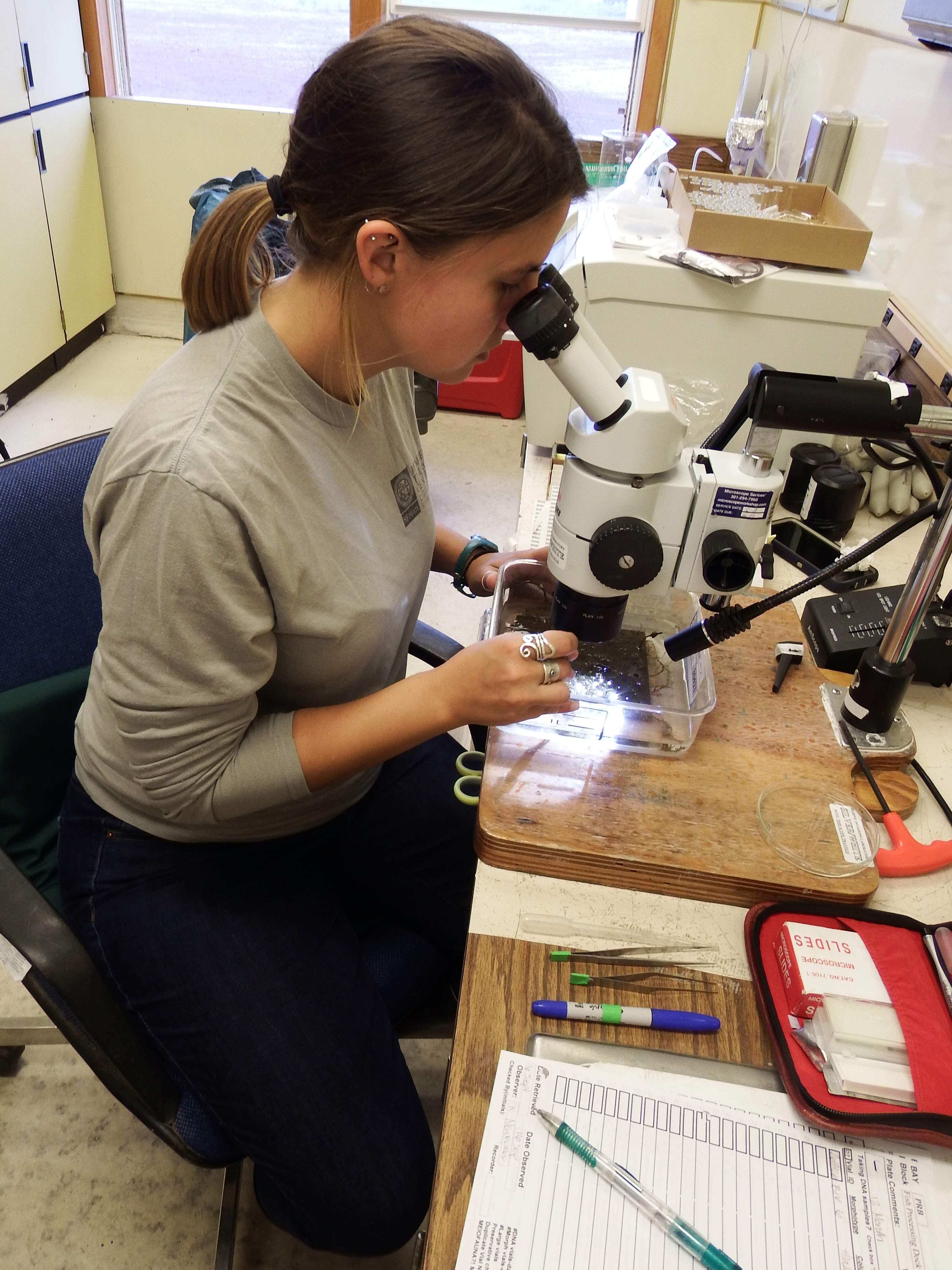 Katy Newcomer looking in a microscope