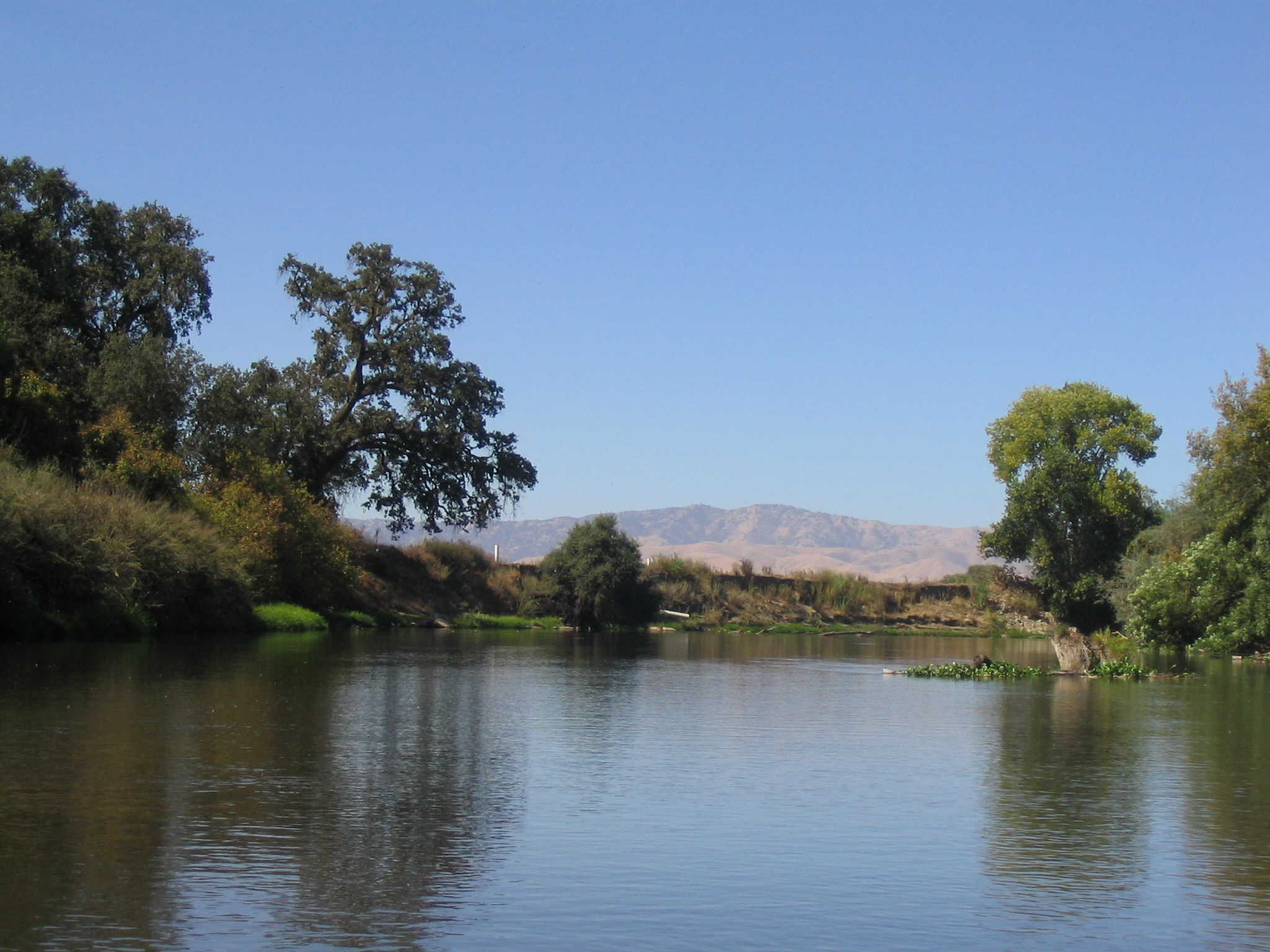 Riparian Community Woodlands along Lower Tuolomne river near Merced, CA