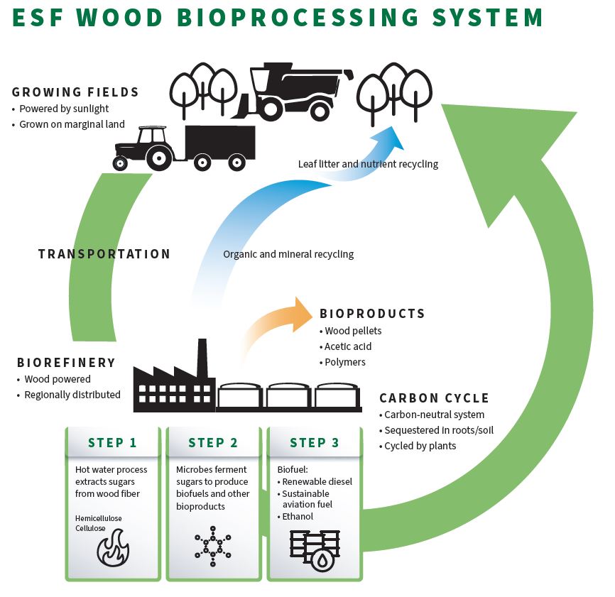 E S F wood bioprocessing system chart 
