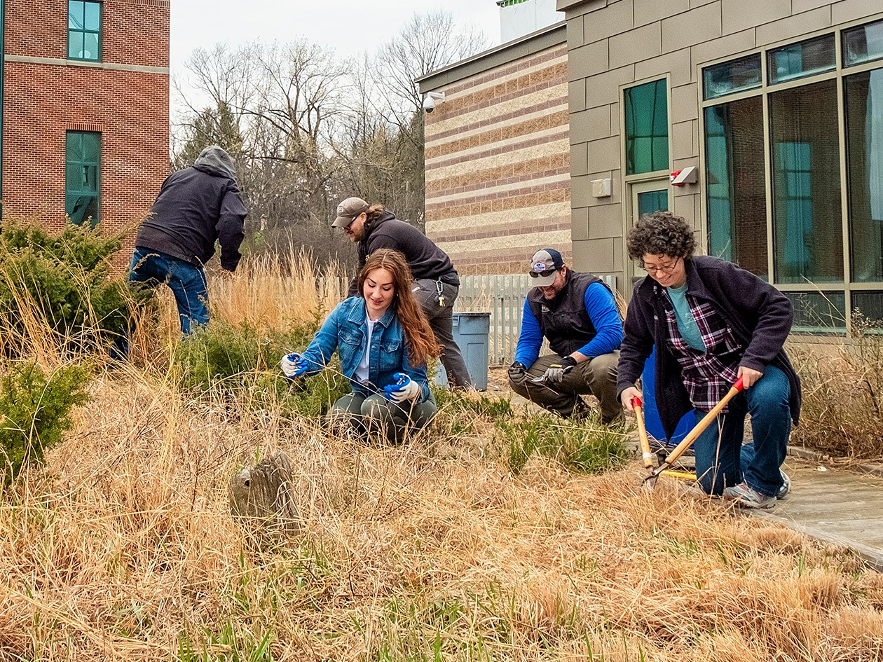 Students working on the Gateway Center green roof.