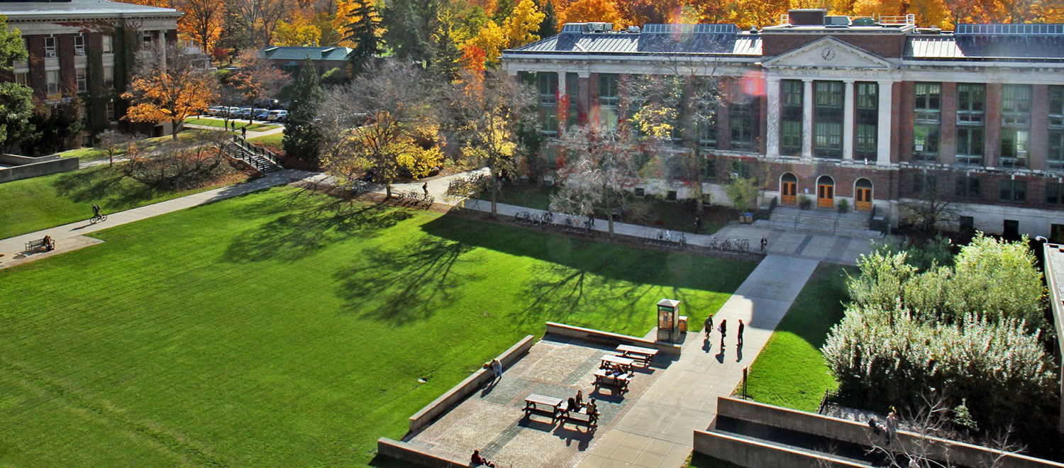 aerial image of ESF's quad in the fall