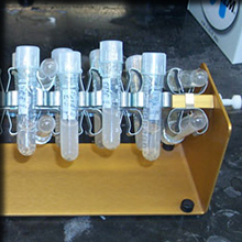 desiccating the Agrobacterium/embryo mix