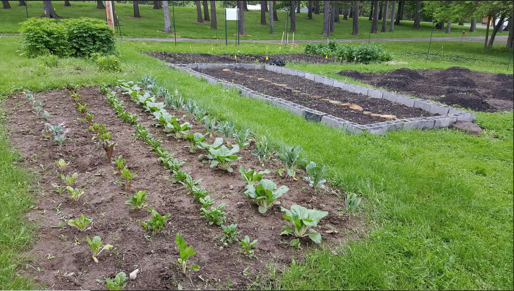 garden bed