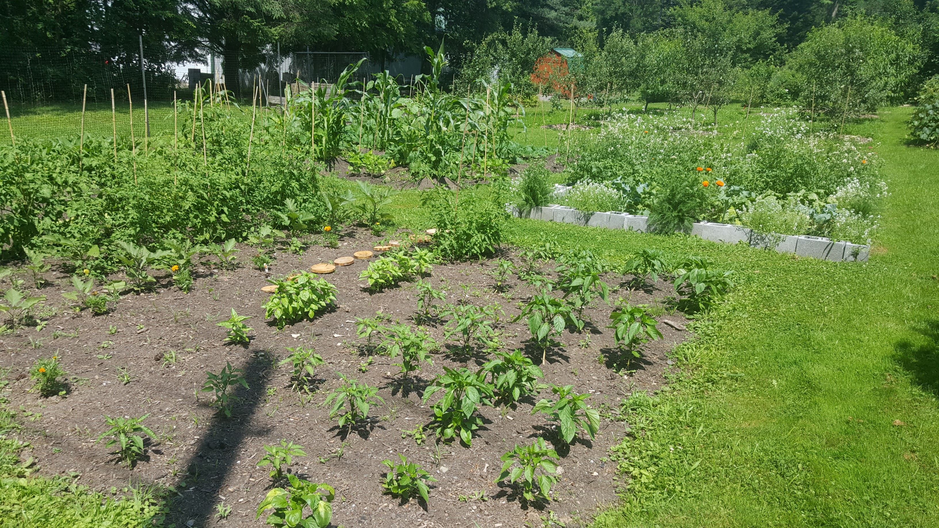 garden bed