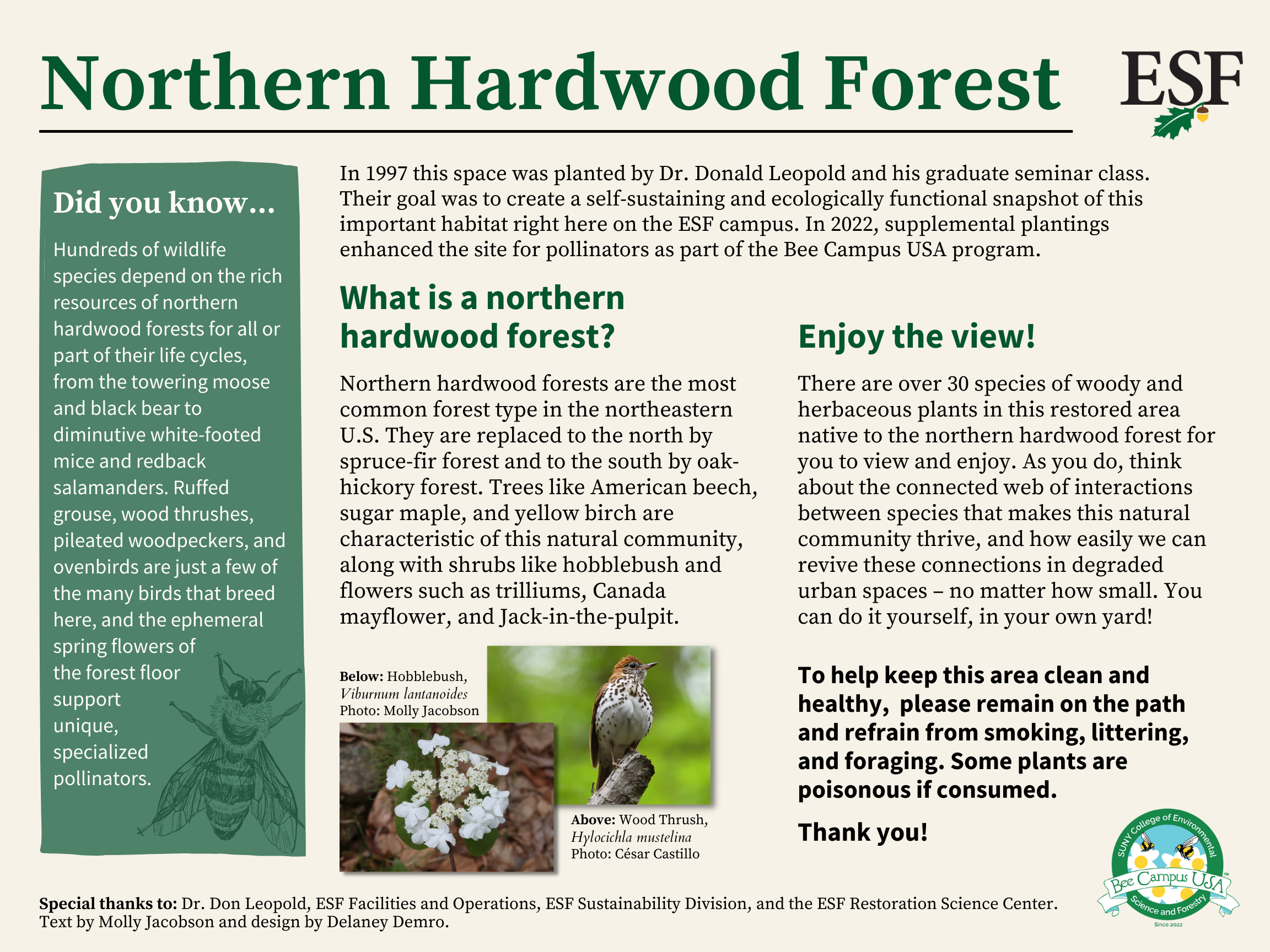 Educational signage explaining pollinator habitat found in northern hardwood forest on campus