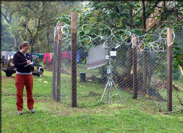 Dr. Sadie Ryan collecting data