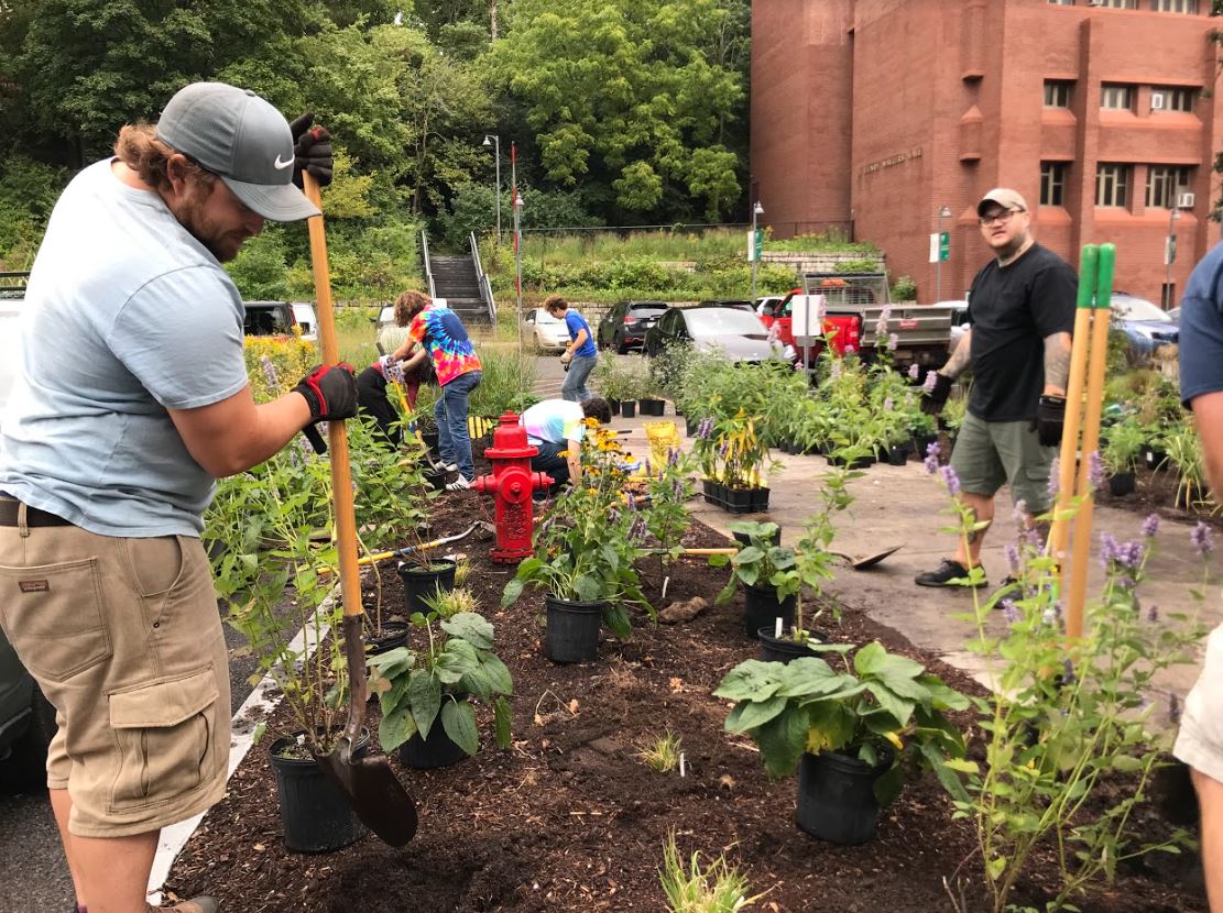 sustainability ambassador assisting with planting pollinator habitat