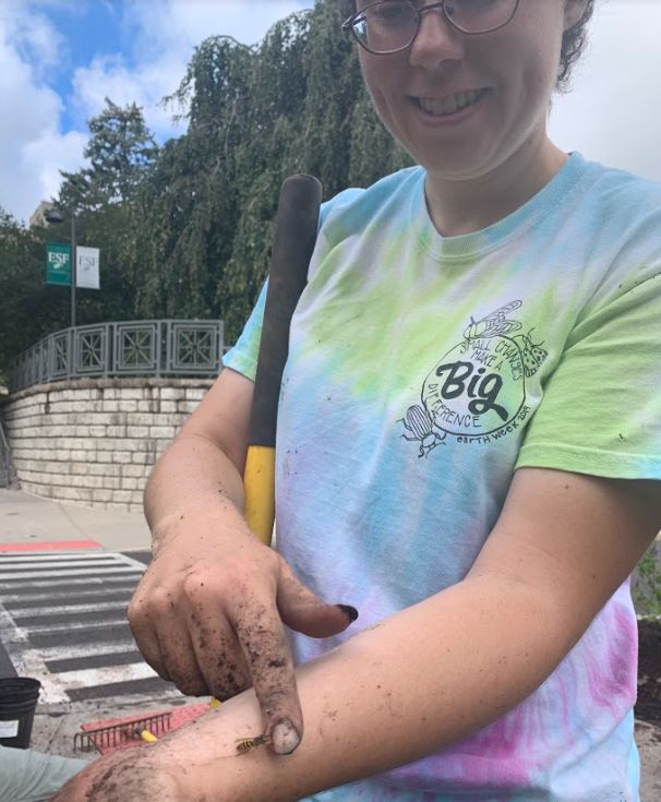 Pollinator rests on Molly's arm